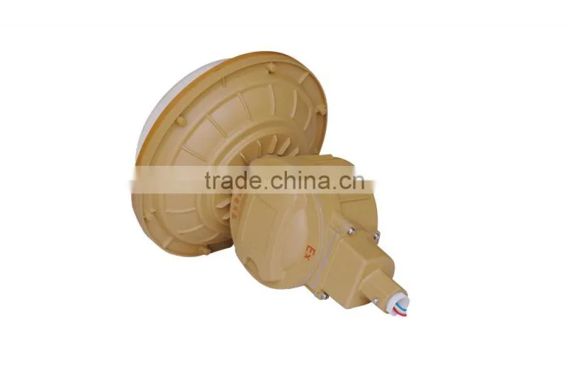 40w 50w 60w new products induction lamps explosion-proof lights