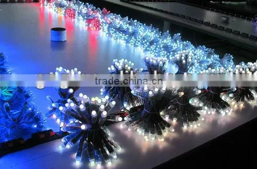 ws2811 rgb led pixel module(waterproof&CE&Rohs)