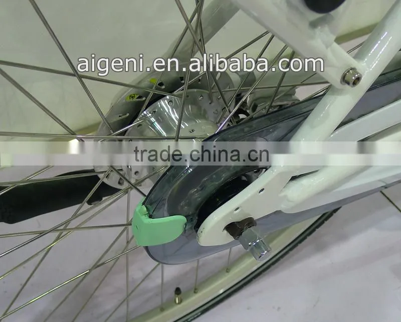Electric bike mid motor