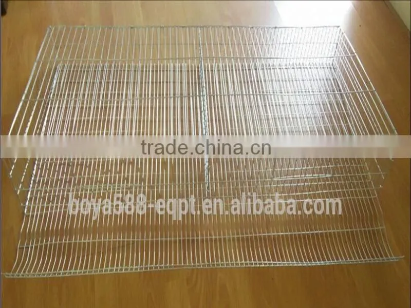 automatic quail bird layer cage system