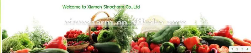 IQF Sliced Champignon Mushroom