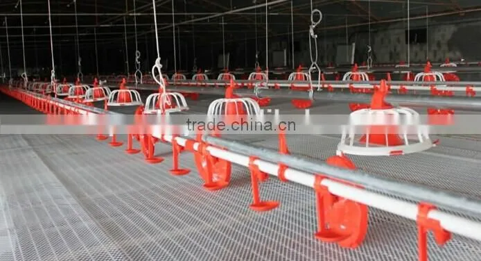 automatic broiler feeding line raising equipment