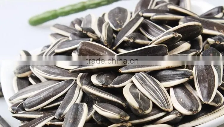 363 sunflower seeds from Inner Mongolia