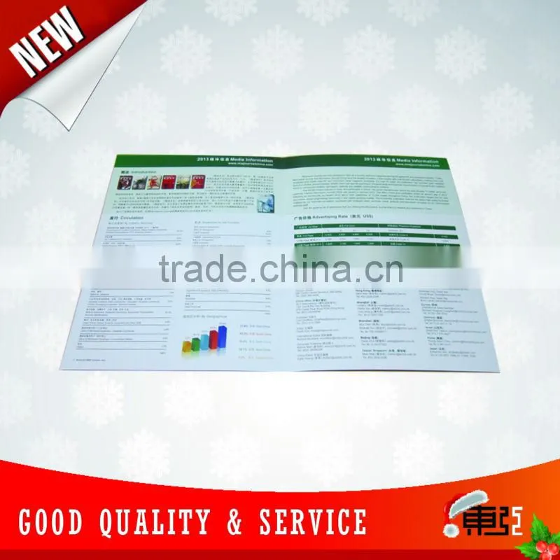 Varnishing A3 size Media Information Flyer Offset Printing Service