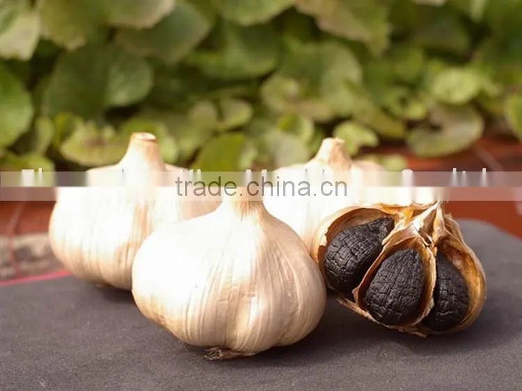 Fermented black garlic fermenting machine, black garlic machine