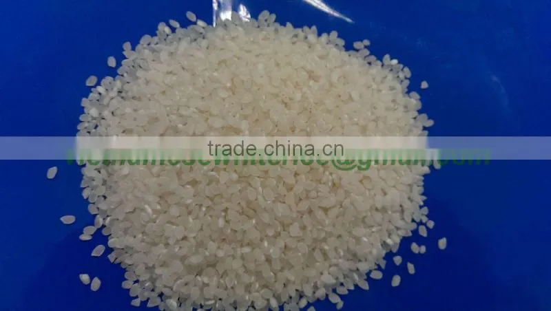 JAPONICA ROUND RICE HIGH QUALITY - 2016 NEW CROP