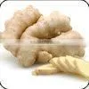 Ginger