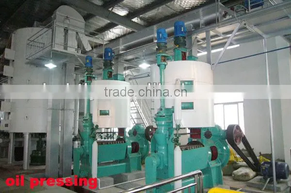 High efficiency machine for extract vegetable oil