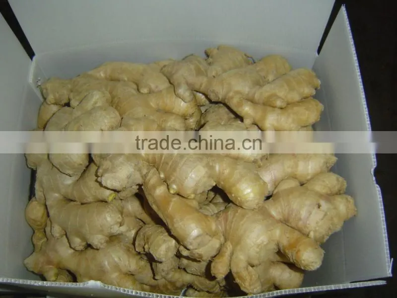 Chinese organic air dried ginger