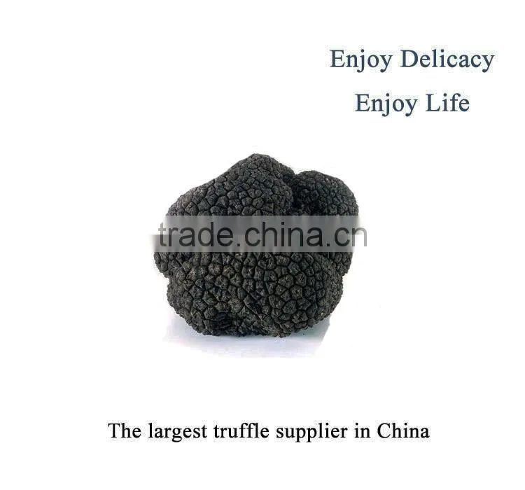 Chinese Black Truffle price