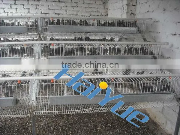 quail cage with automatic drinking system