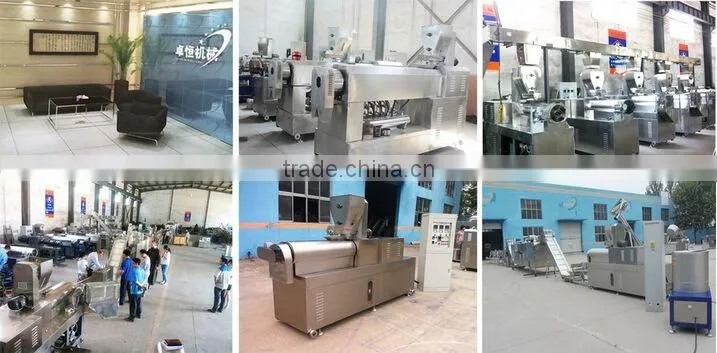 Efficient Automatic Nutritional Rice Powder/Nutritional Powder Food Extruder Machine