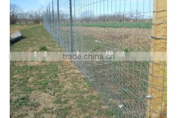 Hex wire netting/hexagonal retaining wall wire netting
