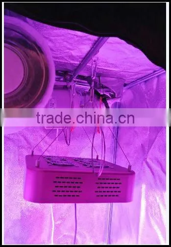 VanQ Newest integrated grow light with good heat dissipation system modular indenpendent desgin and optical lens