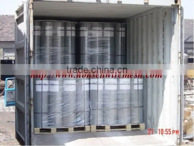 Galvanized Welded wire mesh (Factory)