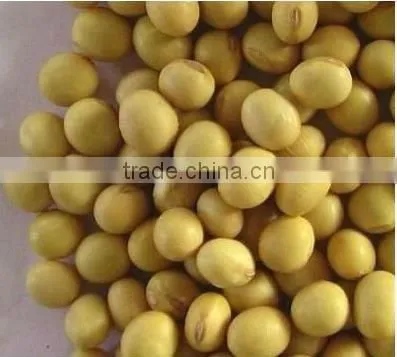 Soybean fiber