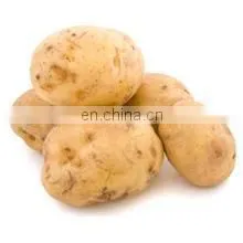 okra slicer machine for the sliced drying vegetable processing