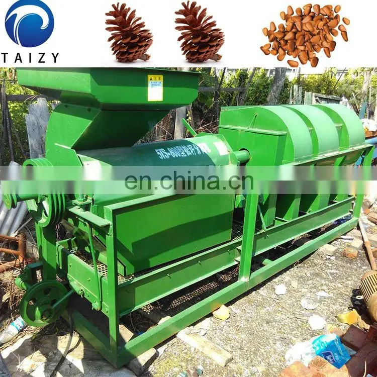 pine nuts thresher pine nut machine pine nuts cracker