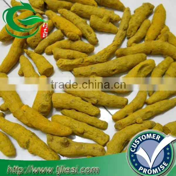 supply tumeric powder with low price