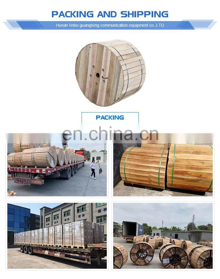 ADSS power cable 12 / 24 / 28 core single-mode nonmetallic pipe / overhead self-supporting 100m span adss optical cable