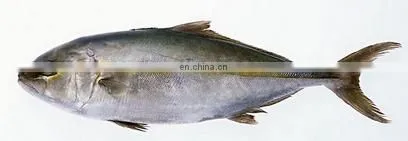 Roasted Fish Making Machine charcoal grilled fish oven for sale