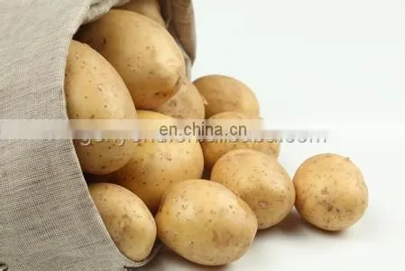 Sweet Potato Starch Production Line/ potato starch production line/Potato flakes production line