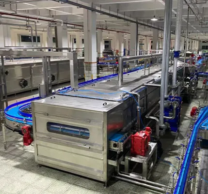 Automatic Pomegranate Juice Production Line