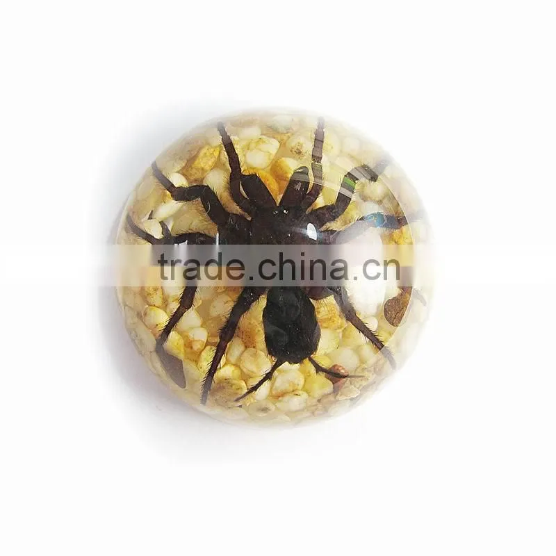 Promotional gifts glow in dark semicircle crystal ornament