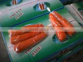 2014 new crop chinese fresh carrot