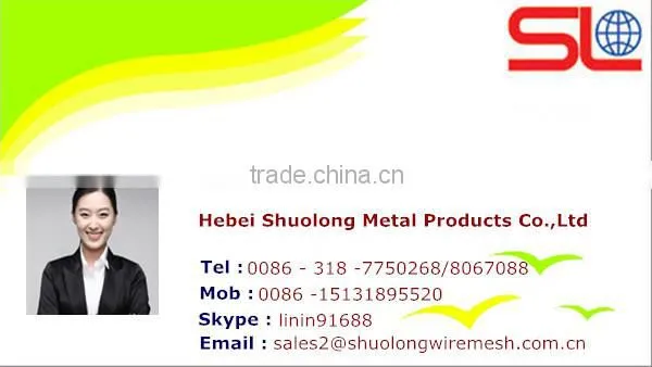 Powder Coated Black Stainless Steel Screen for Window