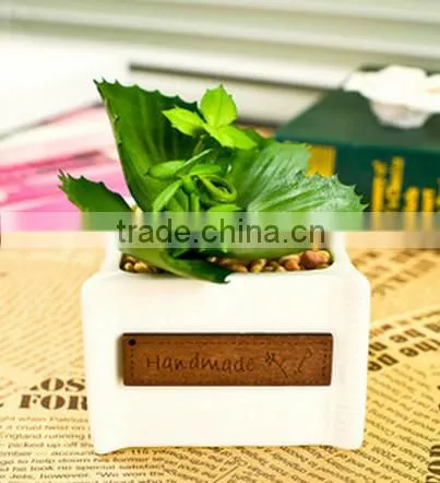 Wholesale Artificial Potted Mini Succulent Plants