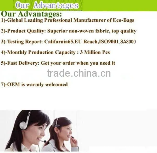 Eco-Friendly Waterproof foldable garment bag/Garment Bag/Suit Covers