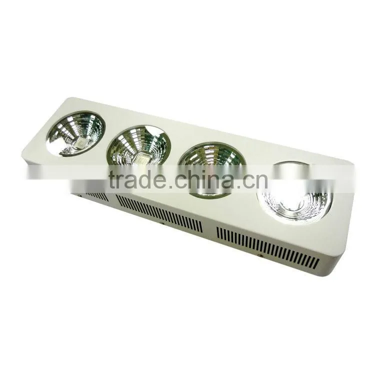 800W LED Grow Light Length Version for Greenhouse LED Grow Light Full Spectrum 800W