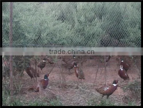 Popular &Cheapest from China factory to sell Invisible Deer Fence