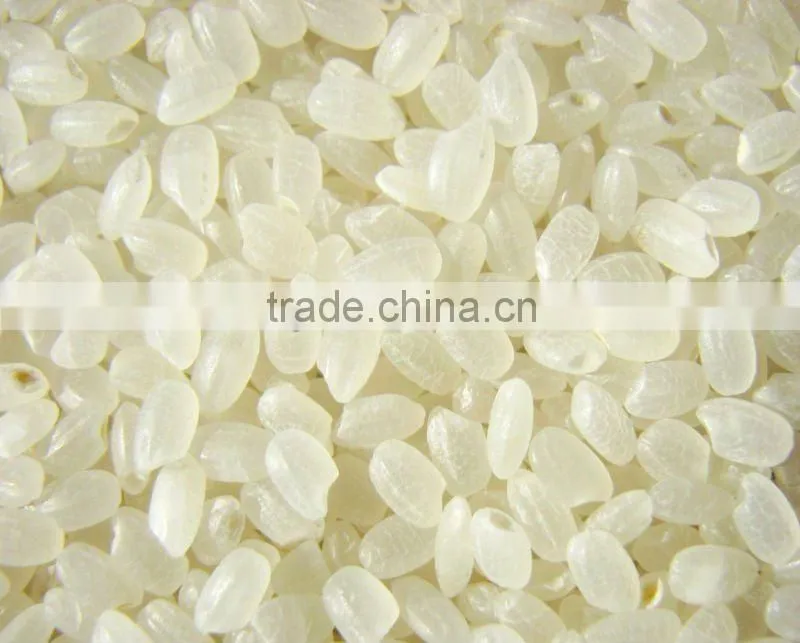 Man Made Rice Processing Line