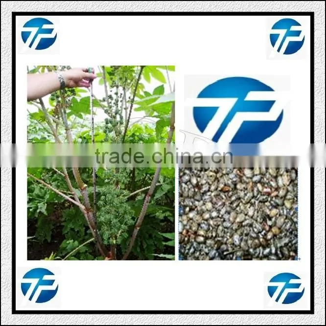 Castor Bean Shelling|Sheller|Peeling Machine