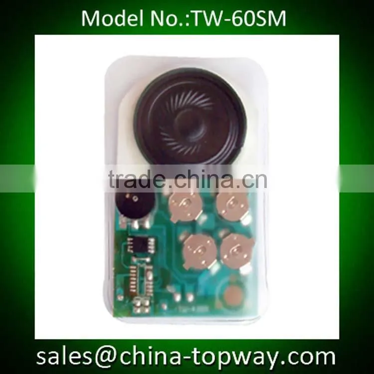 Electronic music module for greeting cards