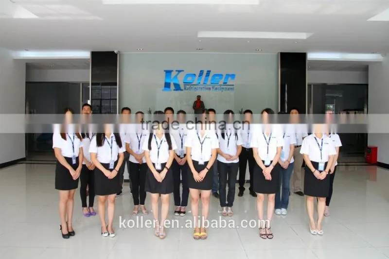 2016 Koller 2000kg long life span cube ice machine for commercial use