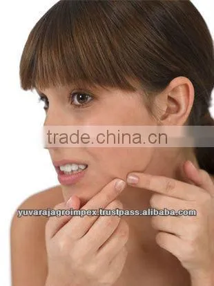 Turmeric Powder Price