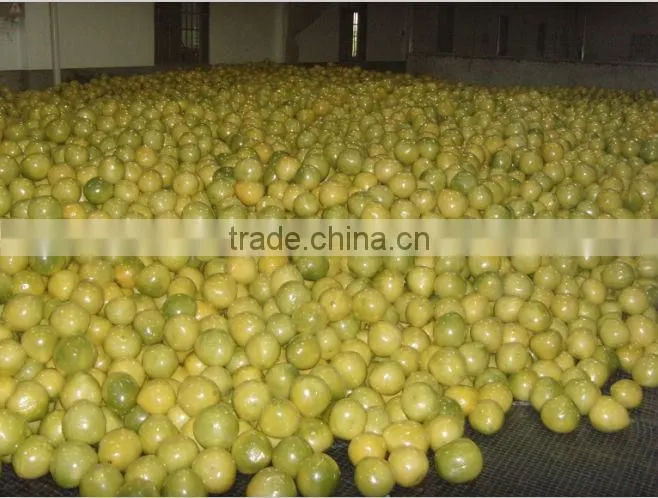Chinese Fresh honey pomelo low price