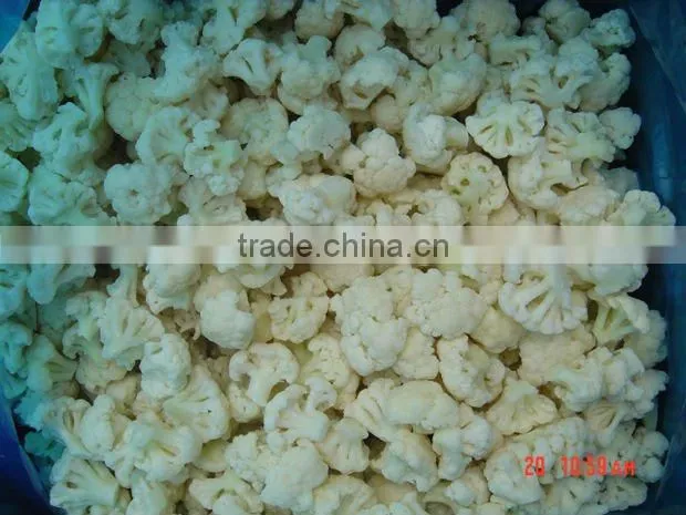 Frozen IQF vegetable manufacturer export cauliflower