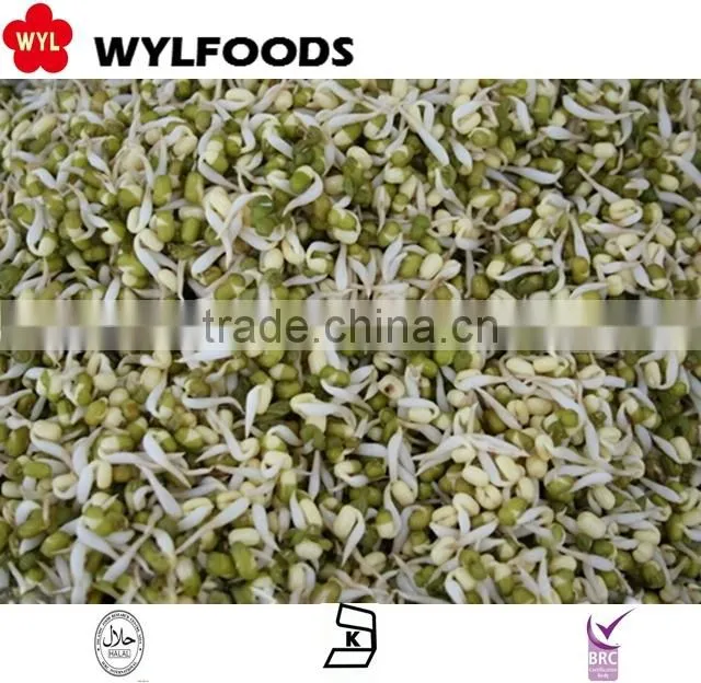 high quality frozen Soybean sprout 2015 best price