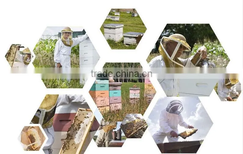 Pure Honey for Hot Sale