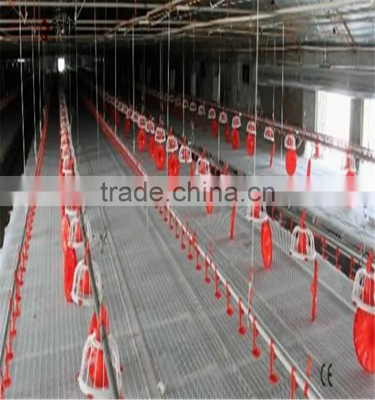 automatic metal poultry feeder and drinkers system