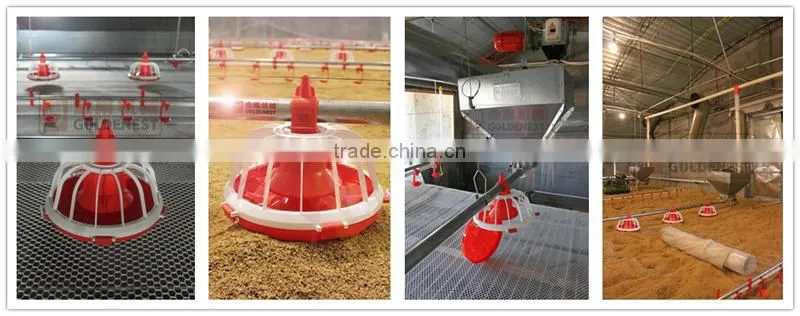 poultry farm feeding equipment