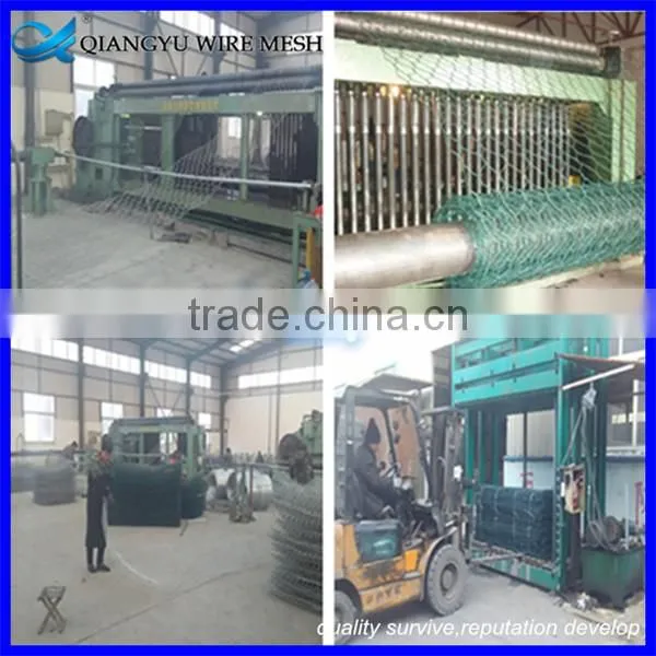 welded wire mesh gabion fence & pvc coated hexagonal wire netting gabion