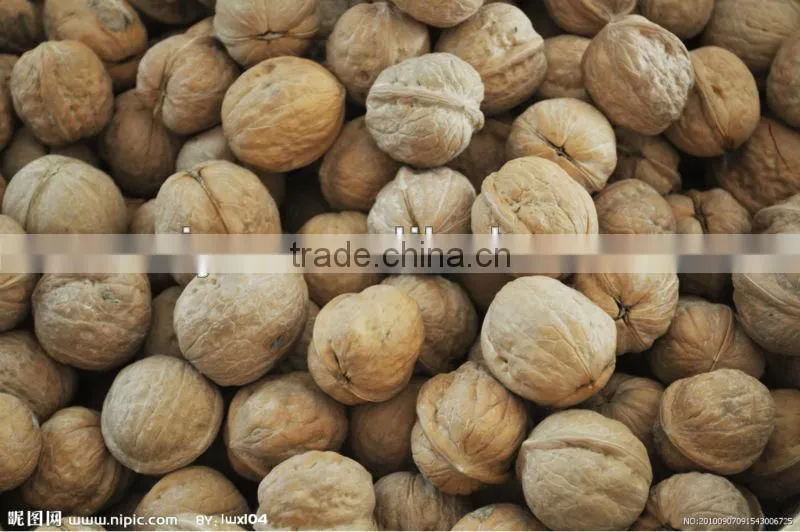 new design walnut shelling machine/walnut sheller