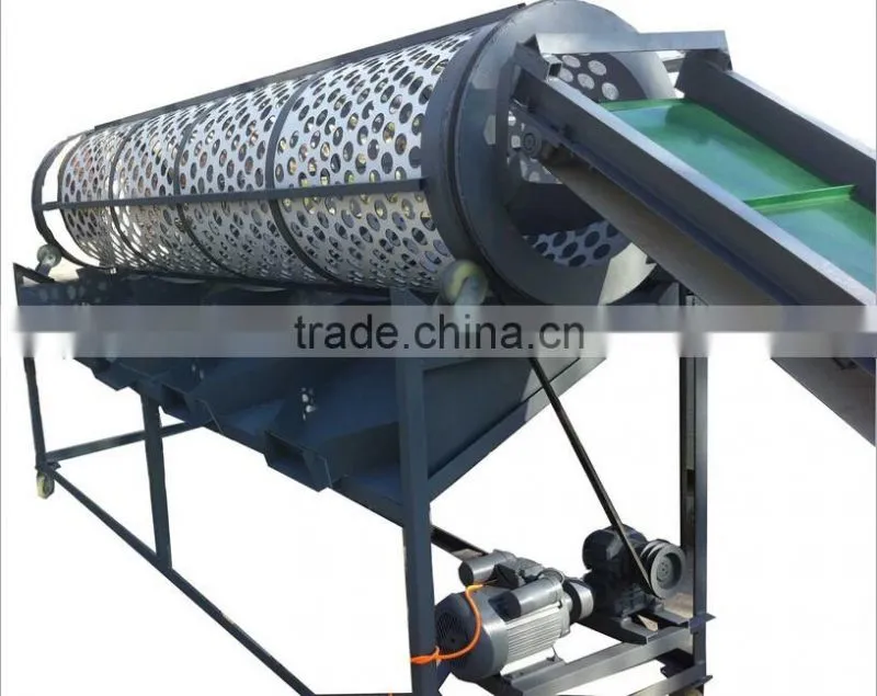 Garlic Separating Peeling Machine Processing Machine Production Line