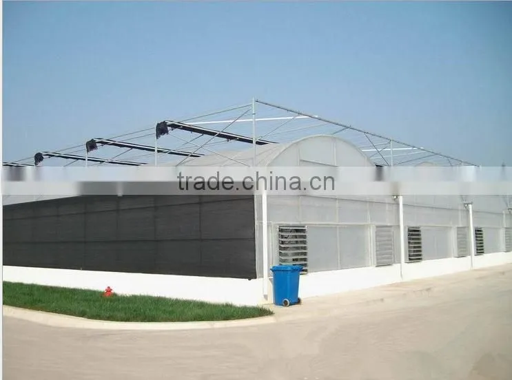 vegetable production greenhouses china