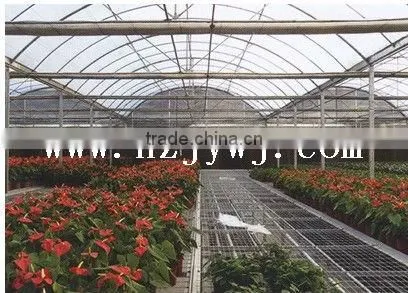 Multi-span greenhouse